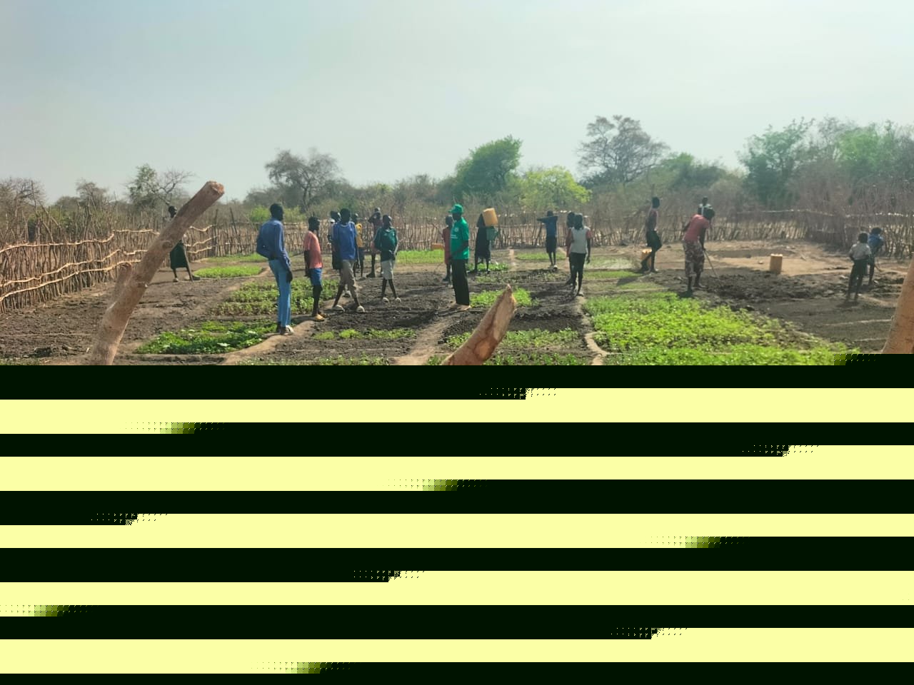 Water storage tanks for community irrigation